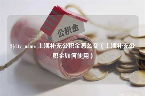 芜湖上海补充公积金怎么交（上海补充公积金如何使用）